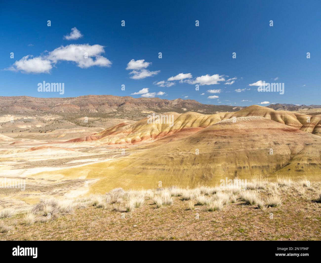 Das John Day Fossil Beds National Monument, Oregon, USA, zählt zu den sieben Weltwundern von Oregon Stockfoto