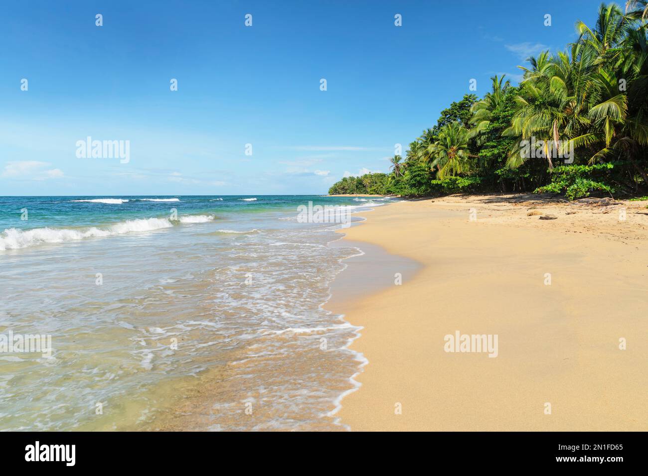 Playa Uva, Karibik, Costa Rica, Stockfoto