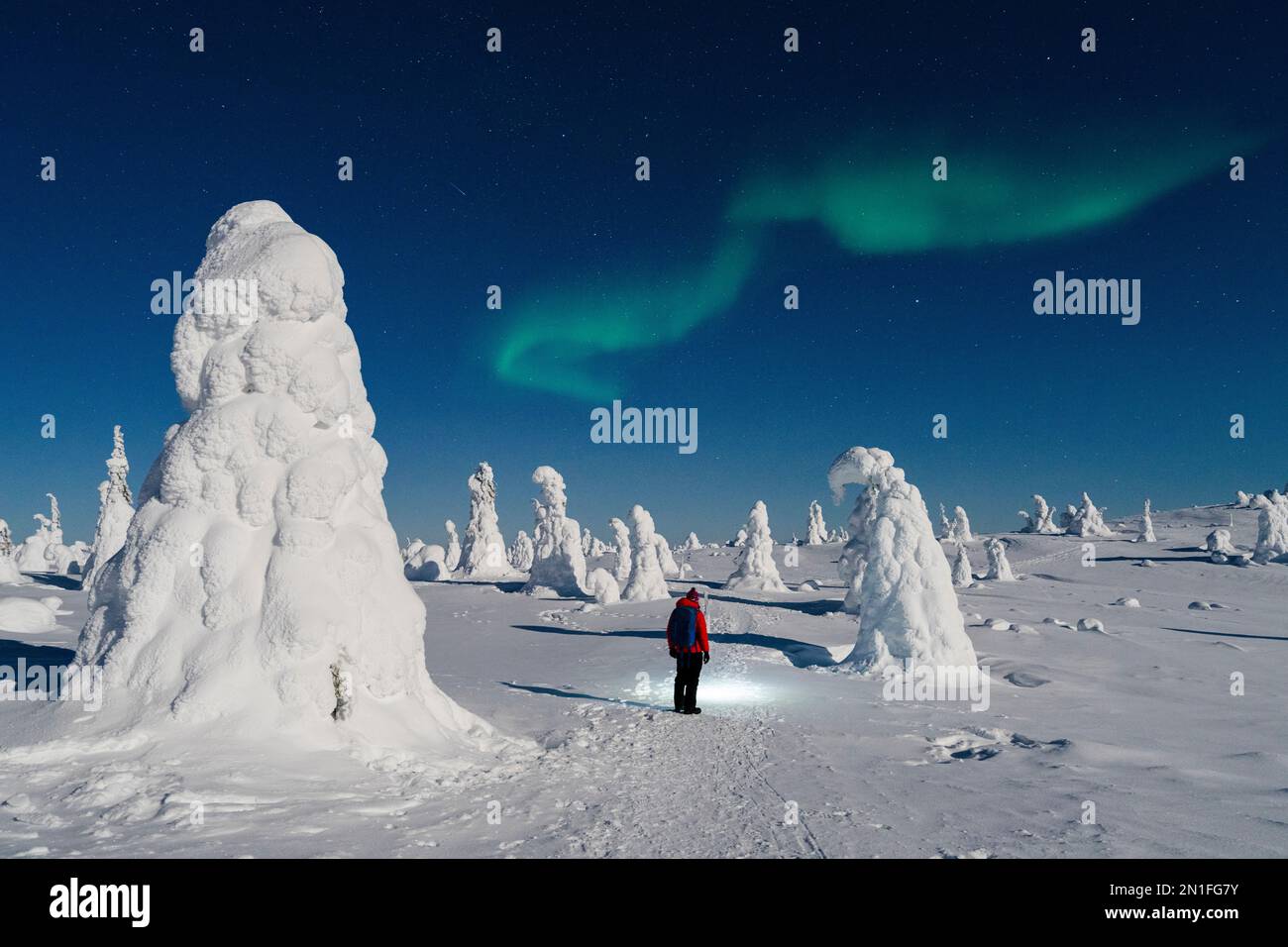 Wanderer bewundern den Himmel mit Aurora borealis (Nordlichter) im gefrorenen Wald, Riisitunturi Nationalpark, Posio, Lappland, Finnland Stockfoto