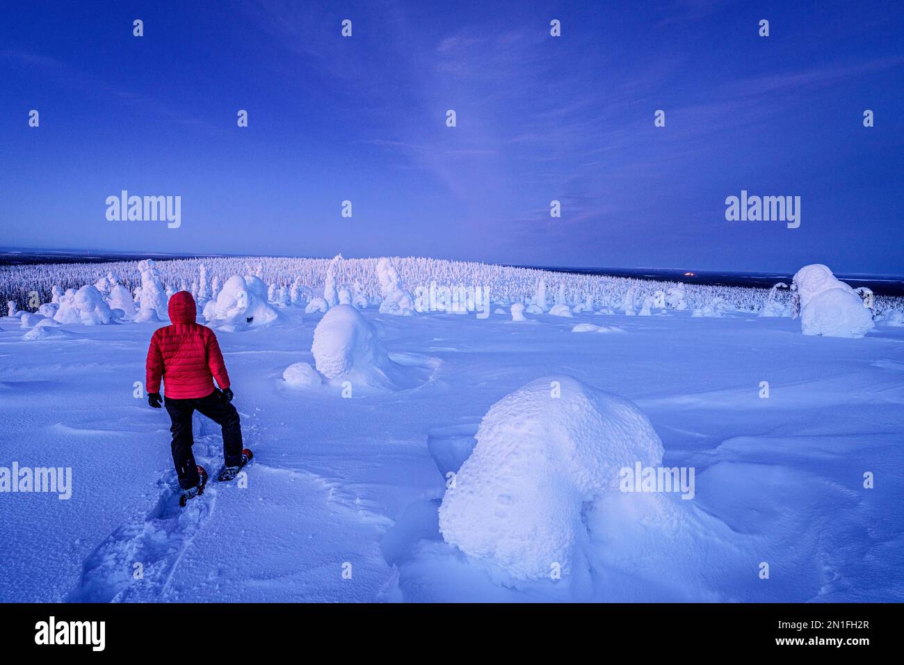 Ein Mann mit Schneeschuhen, der den gefrorenen, verschneiten Wald im blauen Licht der Dämmerung bewundert, Riisitunturi Nationalpark, Posio, Lappland, Finnland, Europa Stockfoto