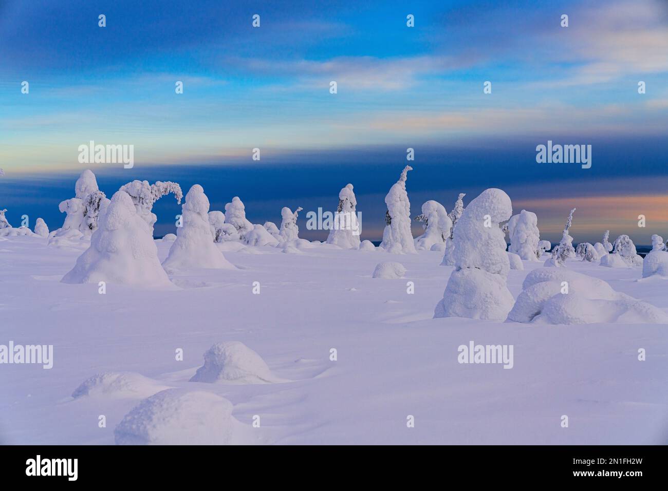 Wunderschöner Himmel in der Dämmerung über eingefrorenen Bäumen im tiefen Schnee, Riisitunturi Nationalpark, Posio, Lappland, Finnland, Europa Stockfoto