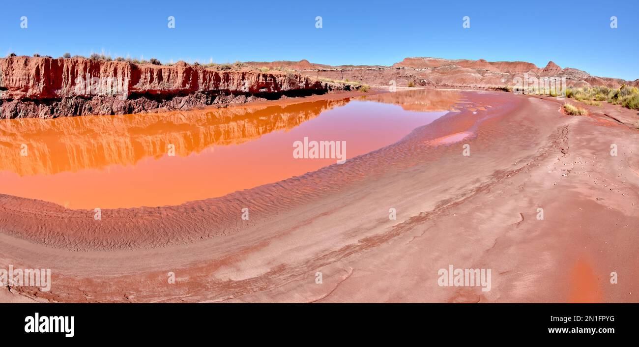 Das rote Wasser von Lithodendron Wash, rot aus Bentonit-Ton, im Petrified Forest National Park, Arizona, USA, Nordamerika Stockfoto