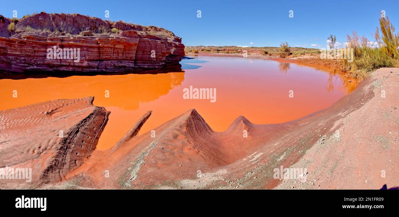 Das rote Wasser von Lithodendron Wash, rot aus Bentonit-Ton, im Petrified Forest National Park, Arizona, USA, Nordamerika Stockfoto