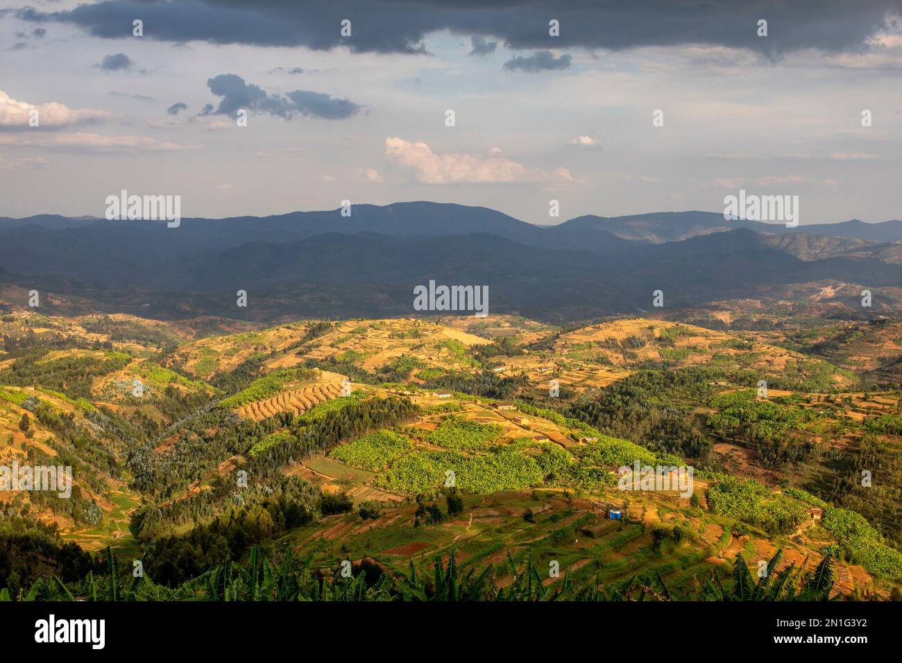 Hügel im Westen Ruandas, Afrika Stockfoto