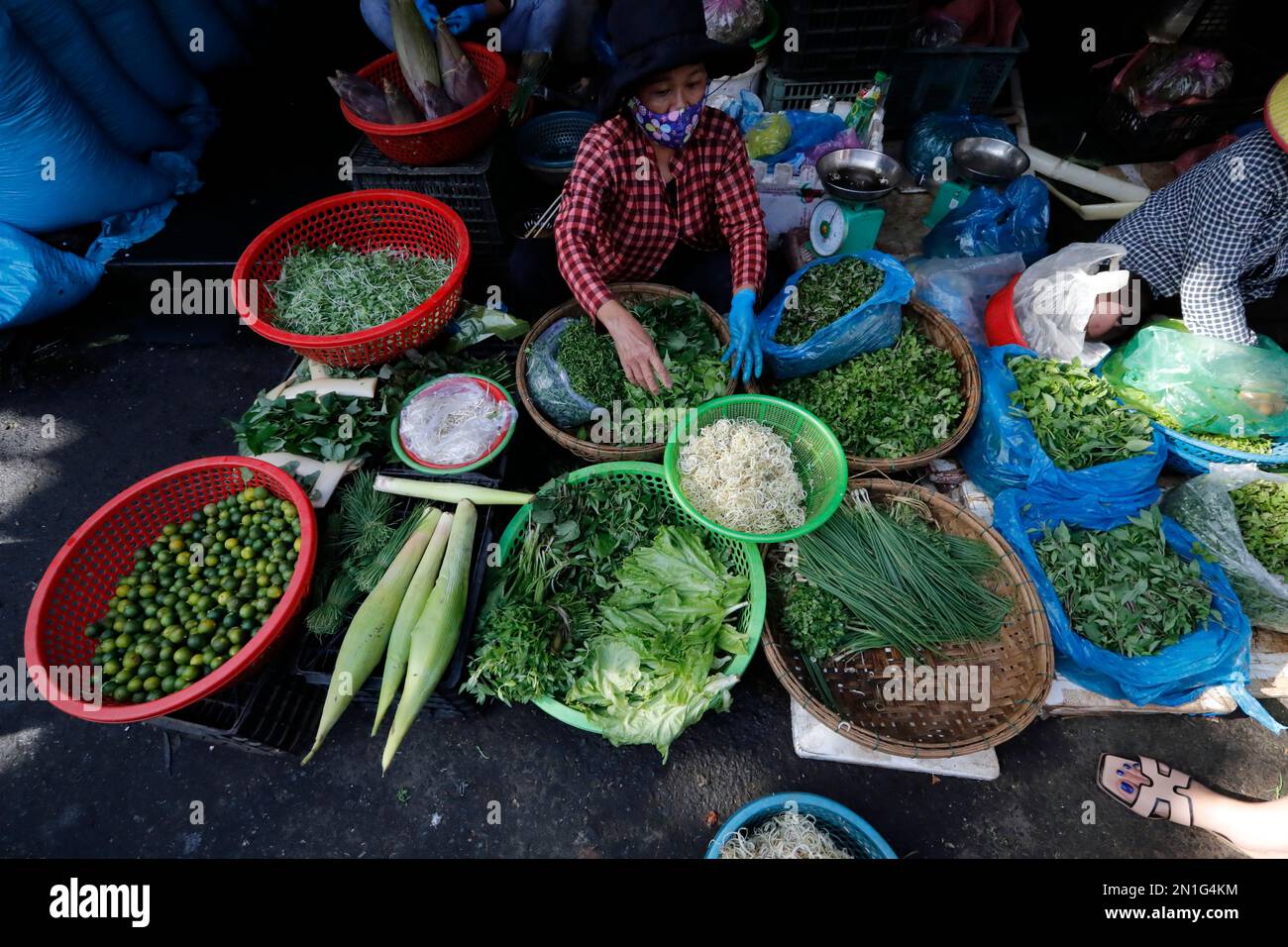 Gemüse und frische Kräuter zum Verkauf, lokaler vietnamesischer Lebensmittelmarkt, Hoi an, Vietnam, Indochina, Südostasien, Asien Stockfoto