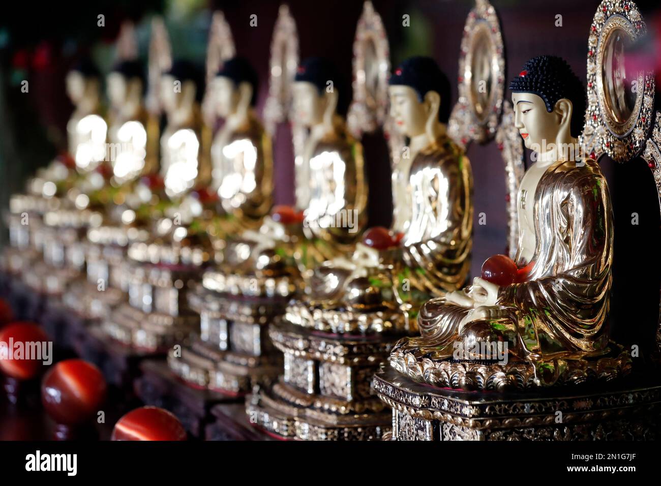 Reihe sitzender Buddha-Statuen, Linh Ung buddhistische Pagode, Danang, Vietnam, Indochina, Südostasien, Asien Stockfoto