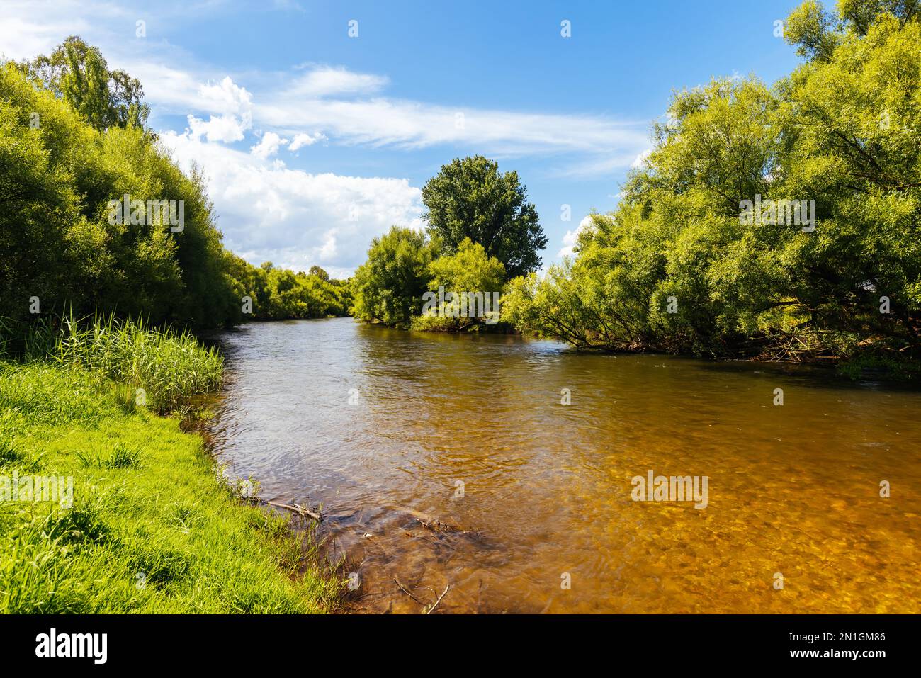 Landschaft im Sommer rund um den Kiewa River an der Keegans Bridge und Streamside Reserve im Ovens Valley in der Nähe des Mt Beauty in Victoria, Australien. Stockfoto