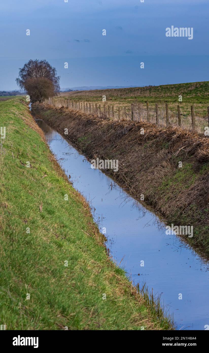 Lincolnshire - Ein gut gepflegter Wassergraben oder Abfluss am Rande eines Bauernfeldes Stockfoto