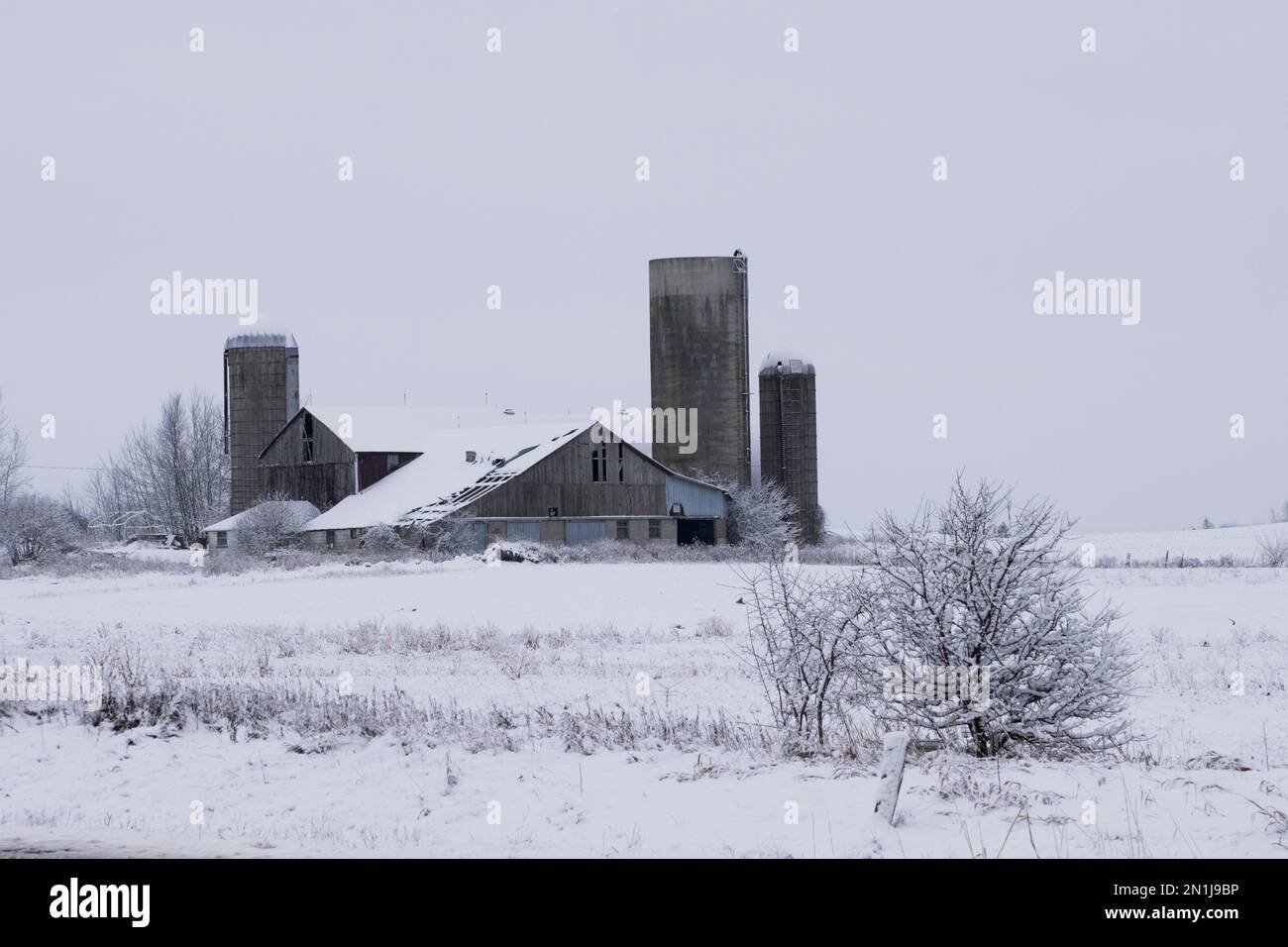 Schneebedeckte Scheune Stockfoto