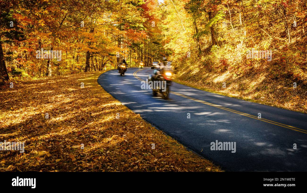 Motorradfahrer auf dem Blue Ridge Parkway in North Carolina im Herbst Stockfoto