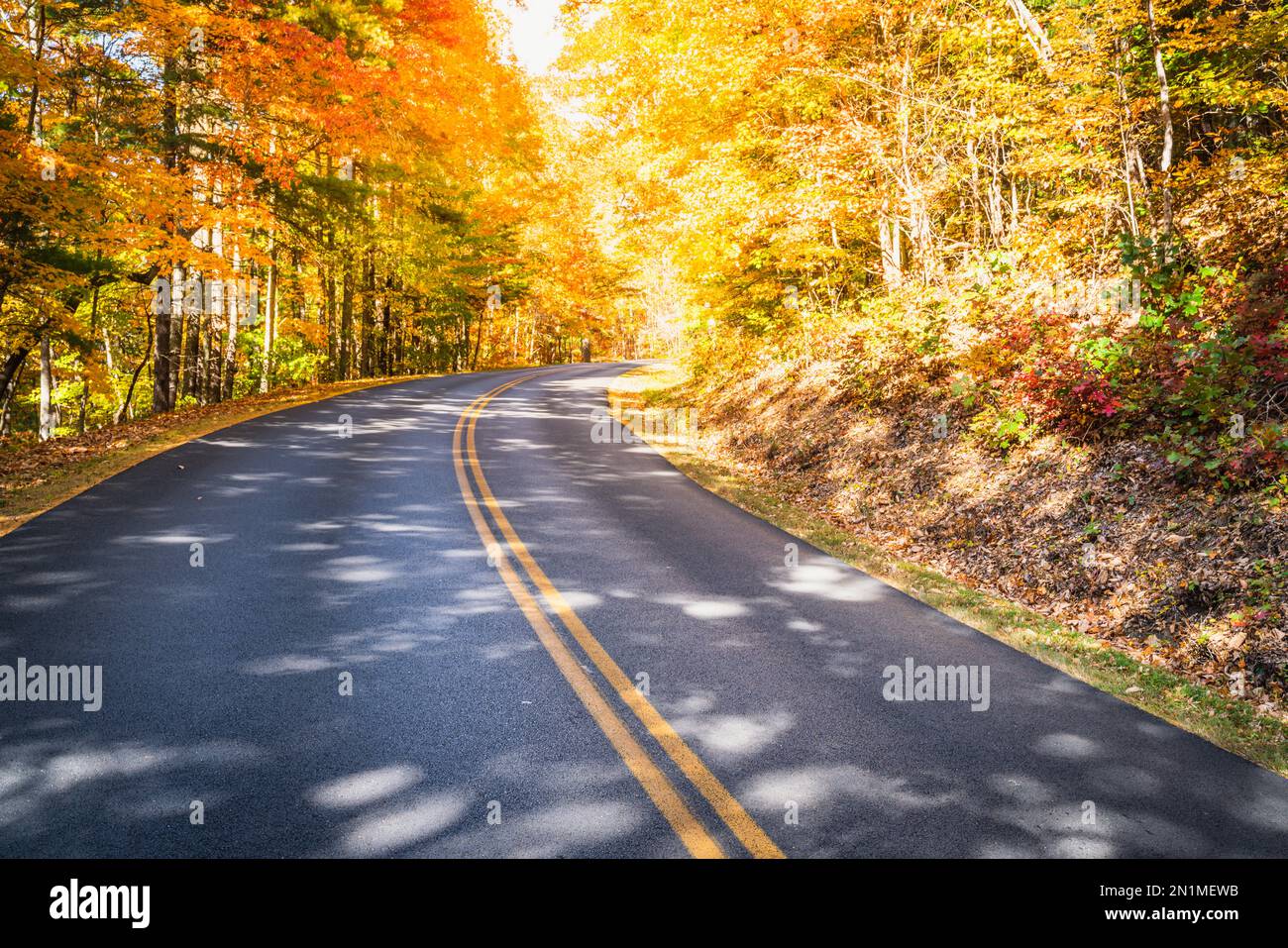Der Blue Ridge Parkway schl ngelt - Der Blue Ridge Parkway Schlangelt Sich Durch Die Walder Im Herbst Bei Asheville North Carolina 2n1mewb 