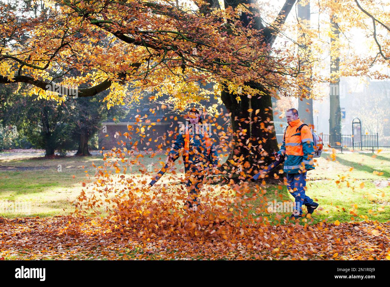 Niederlande, Beamte blasen gefallene Blätter auf einem Haufen für das Biorecycling. Stockfoto