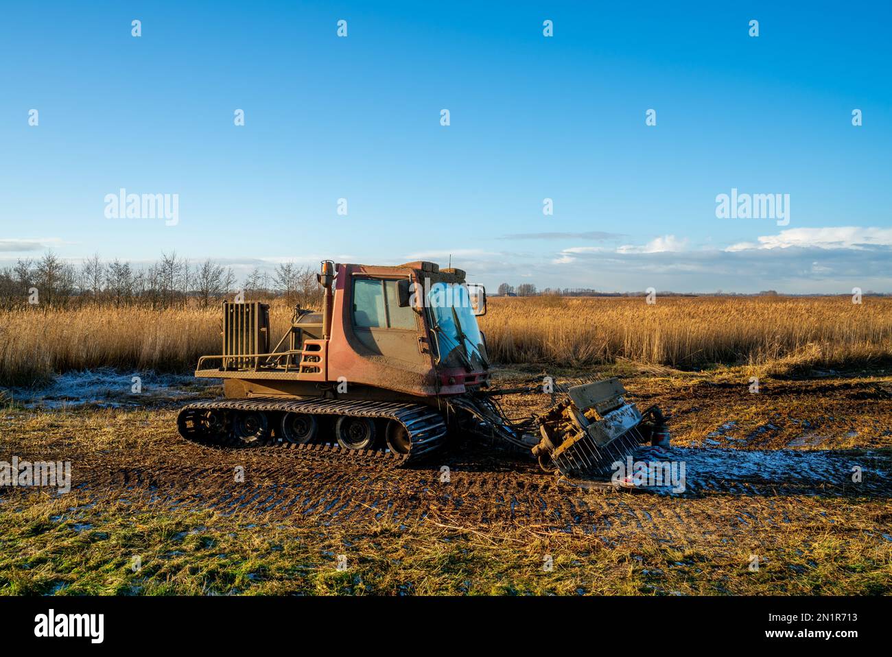 Caterpillar-Maschine zum Mähen und Sammeln von Schilf in einem Sumpf Stockfoto