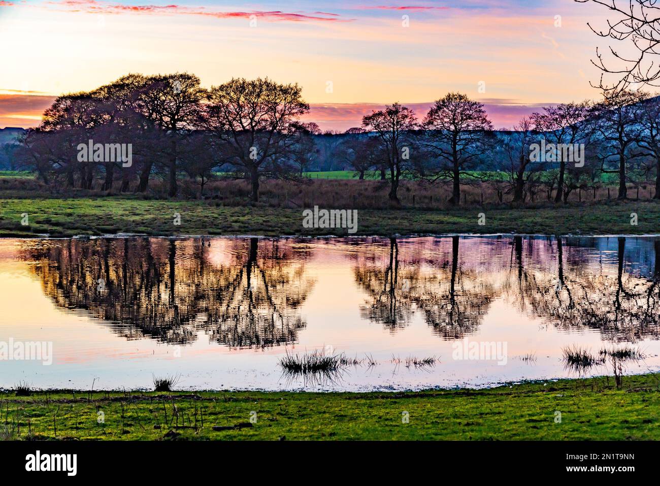 Chipping, Preston, Lancashire, Großbritannien. 6. Februar 2023. Sunset and Reflections, Chipping, Preston, Lancashire, UK Credit: John Eveson/Alamy Live News Stockfoto