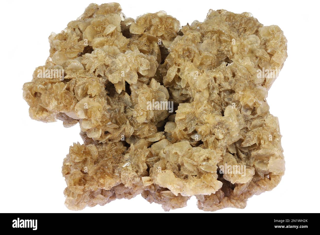Wüste stieg aus der tunesischen Sahara isoliert auf weißem Hintergrund Stockfoto