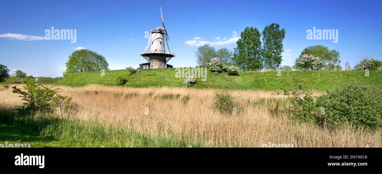 Windmühle De Koe, holländische Mühle/Maismühle in Veere, Zeeland, Niederlande Stockfoto