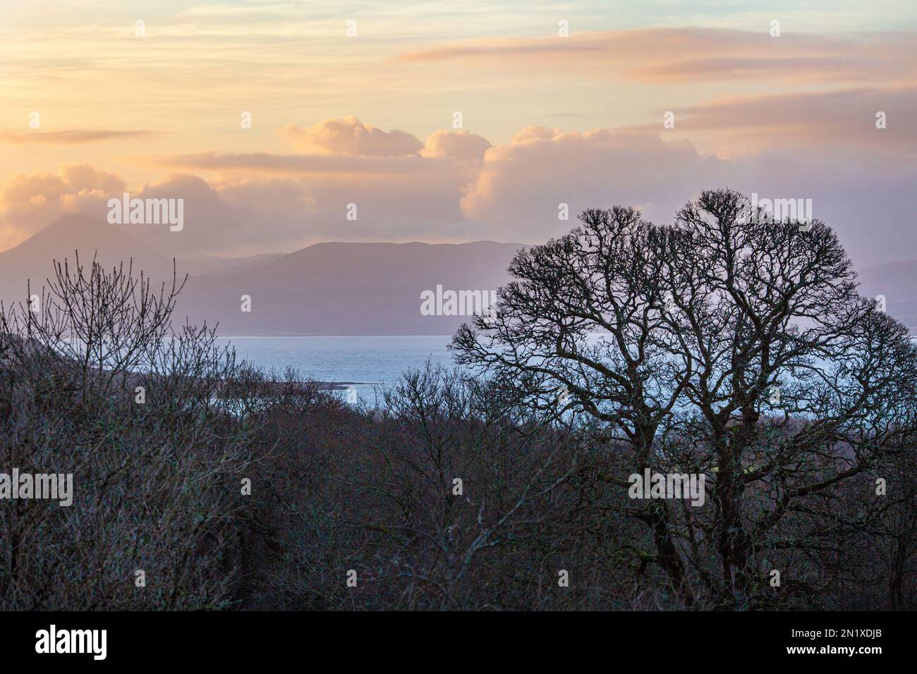 Blick über den Sound of Mull zur Insel Mull vom Drimnin Estate in Movern, Schottland, Großbritannien. Stockfoto