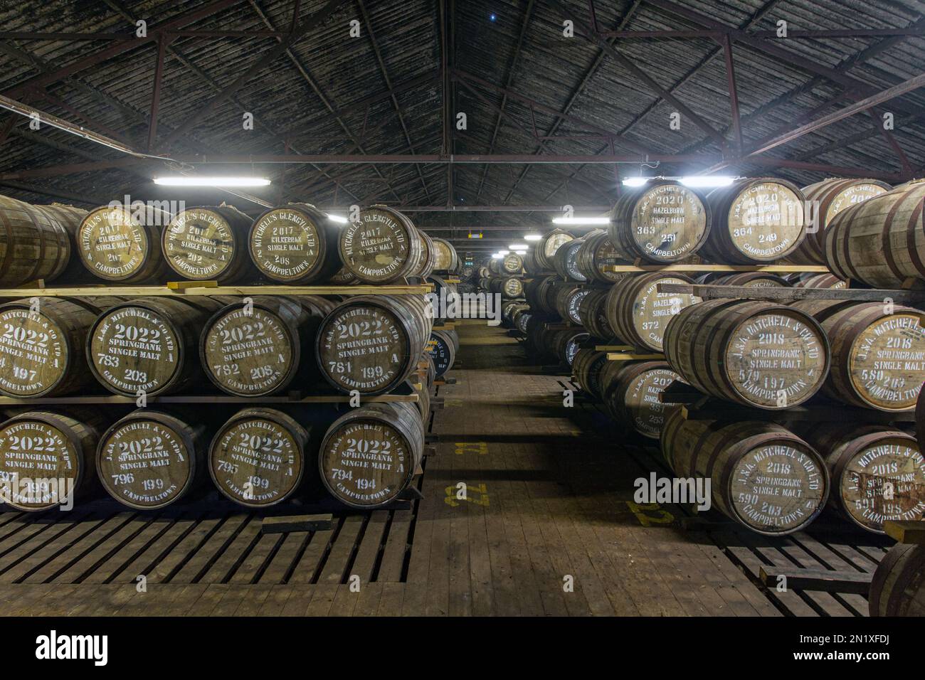 Springbank Distillery Warehouse voll mit gereiften Whiskyfässern, Campbeltown, Argyll und Bute, Schottland, Großbritannien Stockfoto