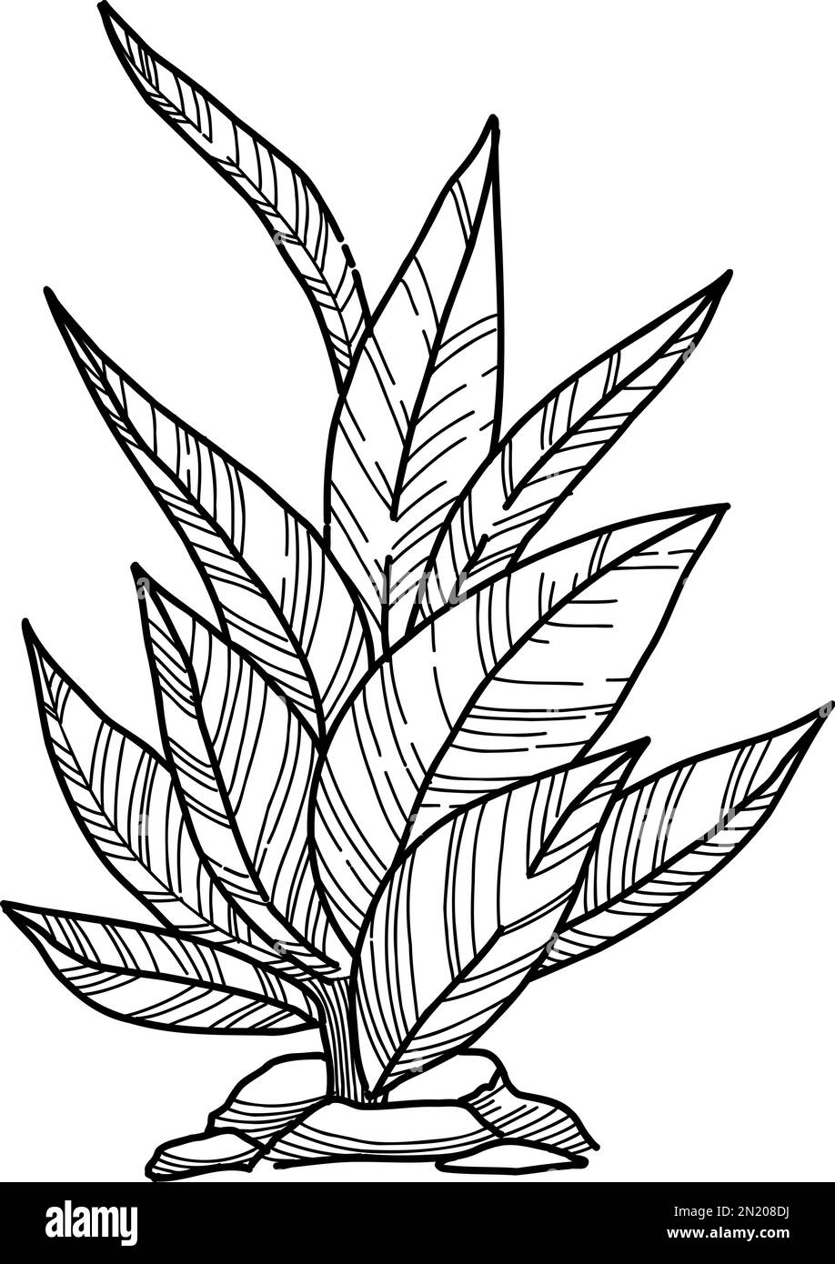 Pflanzen Sie die Symbolkontur des Waldes, handgezeichnete Vektoren. Gartenzeichnung Stock Vektor