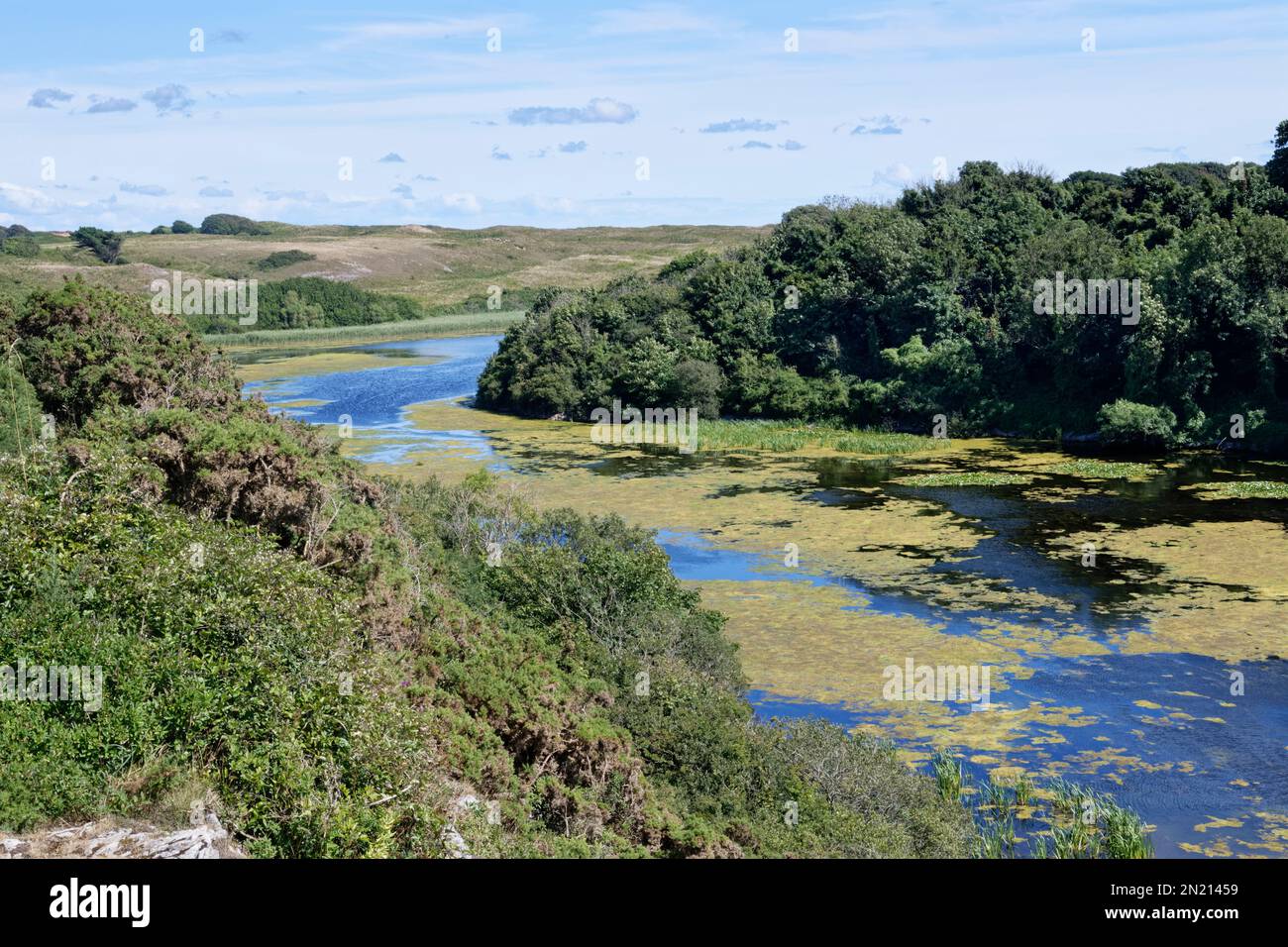 Überblick über Bosherton Lakes Lily Ponds und Stackpole Warren, Near Pembroke, Pembrokeshire, Wales, Vereinigtes Königreich August 2022. Stockfoto
