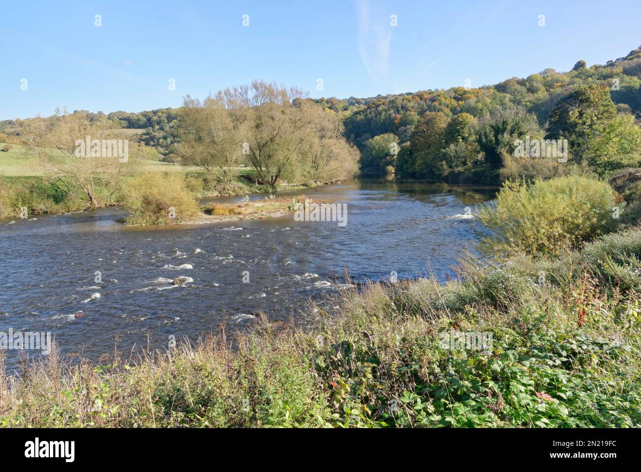 River Wye and the Forest of Dean im Herbst, Lower Lydbrook, Gloucestershire, Vereinigtes Königreich, Oktober 2022. Stockfoto