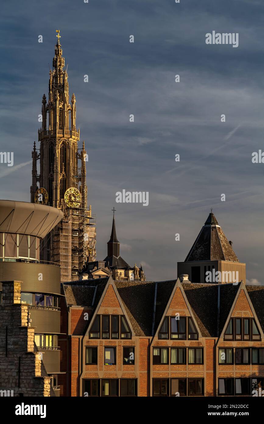 Kathedrale unserer Lieben Frau Antwerpen, Antwerpen, Belgien Stockfoto