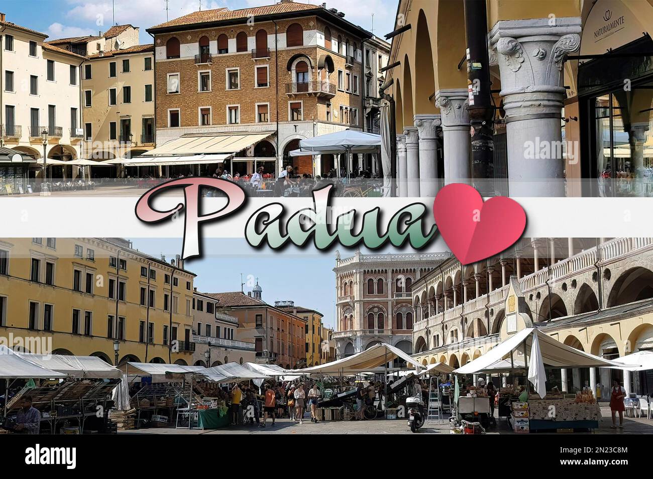 Padua (Italien, Veneto) Piazza dei Frutti, ein charakteristischer Markt neben den wunderschönen Renaissance-Palästen. Stockfoto