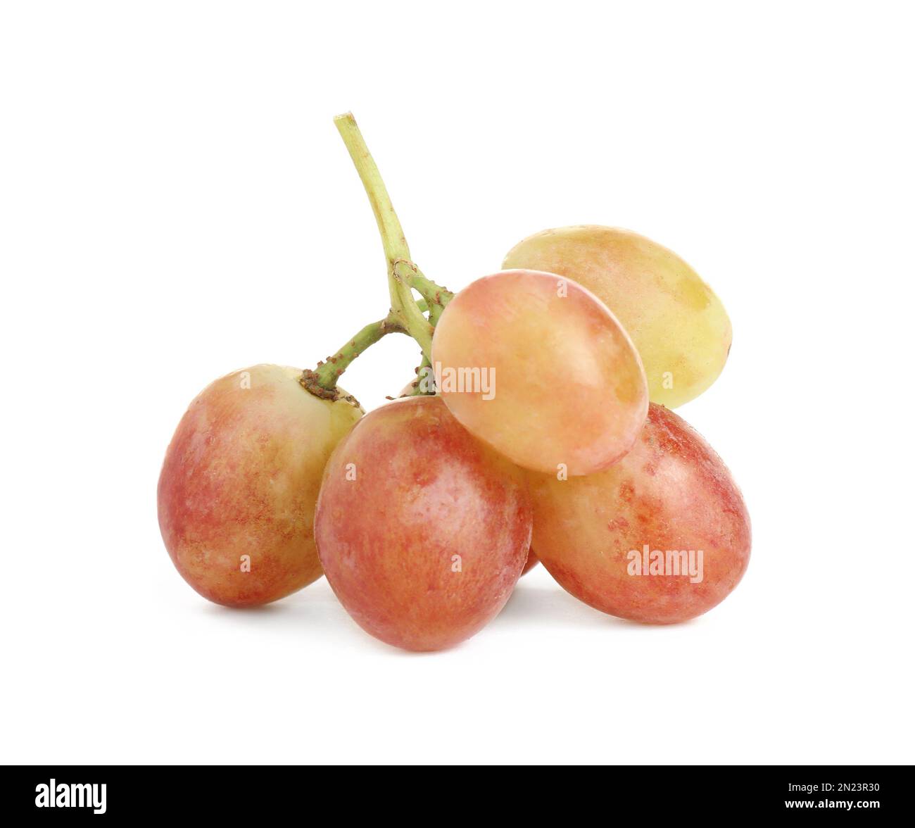 Frisch gereifte rote Weintrauben, isoliert auf weiß Stockfoto