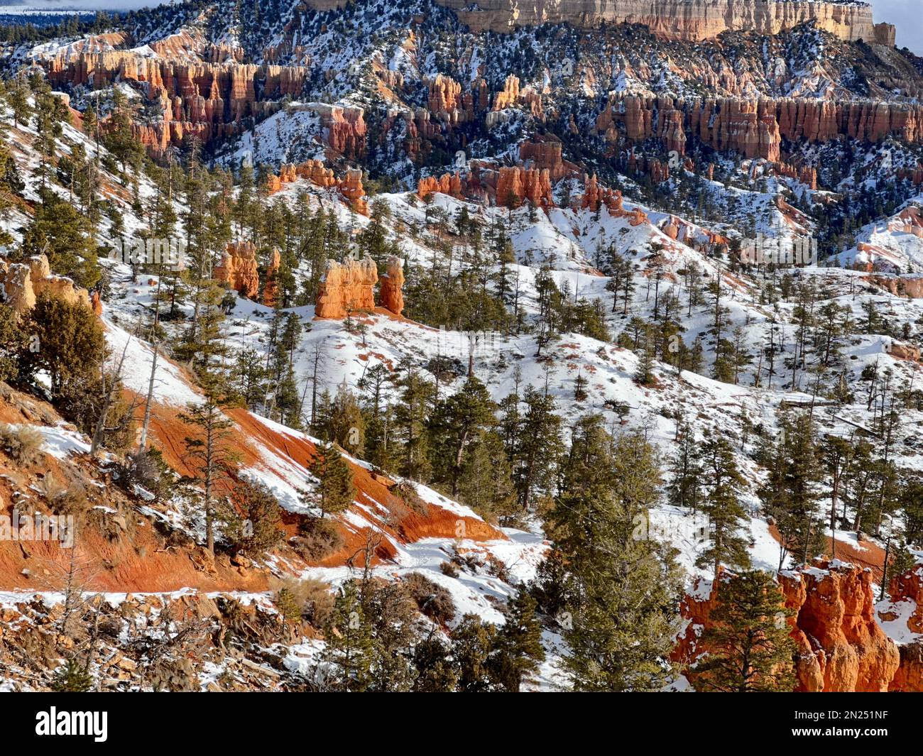 Eine wunderschöne Aufnahme der malerischen, schneebedeckten Felsformationen im Bryce Canyon, Utah Stockfoto