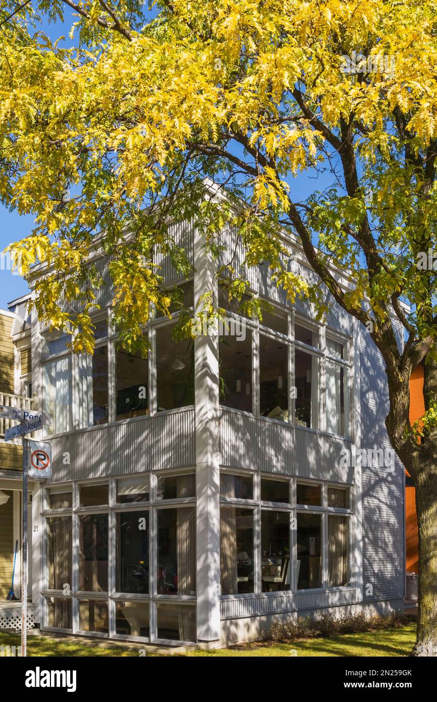 Graues modernes Gebäude mit 2 Appartements, renoviert von einem alten Haus, umrahmt von Gleditsia triacanthos 'Skyline' - Honeylocust Tree im Herbst. Stockfoto