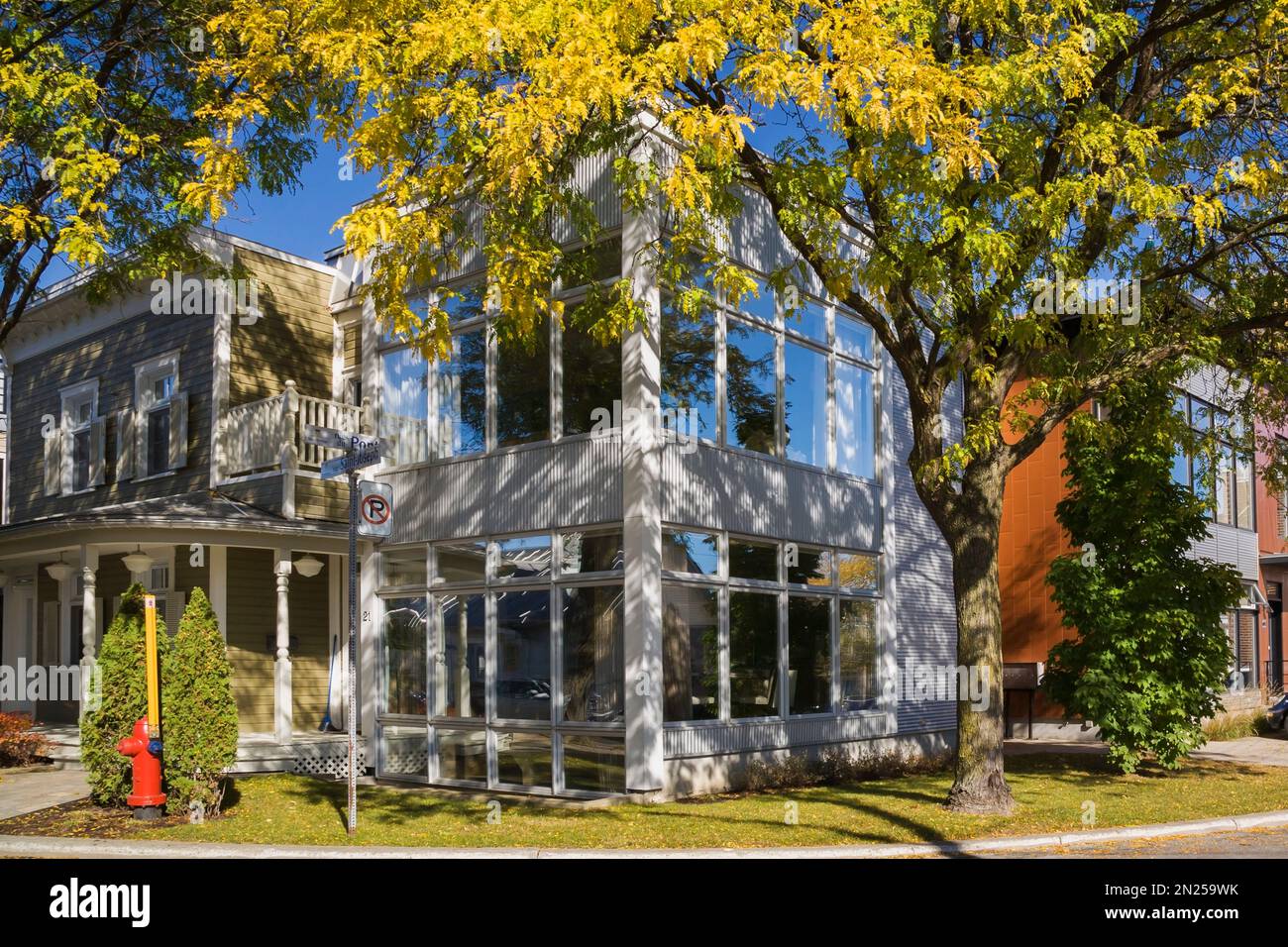 Graues modernes Gebäude mit 2 Appartements, renoviert von einem alten Haus, umrahmt von Gleditsia triacanthos 'Skyline' - Honeylocust Tree im Herbst. Stockfoto