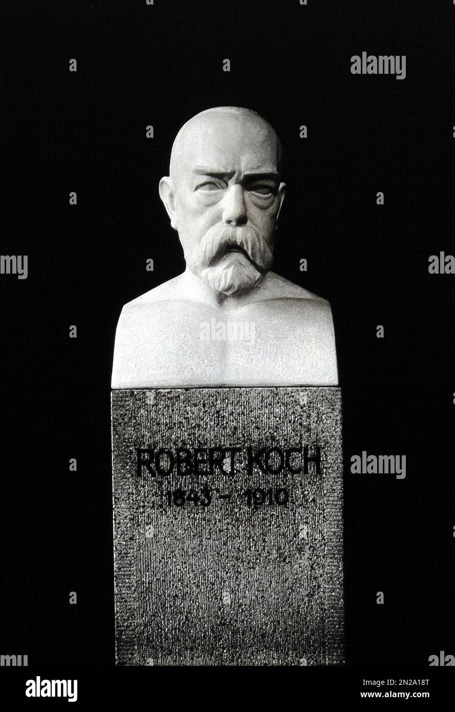1920 Ca , DEUTSCHLAND : das dem deutschen Doktor ROBERT KOCH ( 1843 - 1910 ) gewidmete aber , unbekannter Autor und Standort . Er wurde berühmt für die Entdeckung des Anthrax-Bazillus ( 1877 ), des Tuberkulose-Bazillus ( 1882 ) und der Cholera vibrio ( 1883 ) sowie für seine Entwicklung von Kochs Postulaten. 1905 erhielt er den NOBELPREIS für Physiologie oder Medizin für seine Tuberkulosebefunde . Er gilt als einer der Gründer der Bakteriologie Unbekannter Bildhauer. - BATTERIOLOGO - TBC - BATTERIOLOGIA - TUBERCOLOSI - ANTRACE - PREMIO NOBEL PER LA MEDICINA - VIROLOGIA - VIRUS - VIROLOGO - MEDICIN Stockfoto