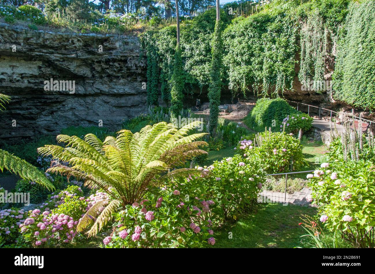 Umpherston Sinkhole in Mount Gambier, Südaustralien Stockfoto