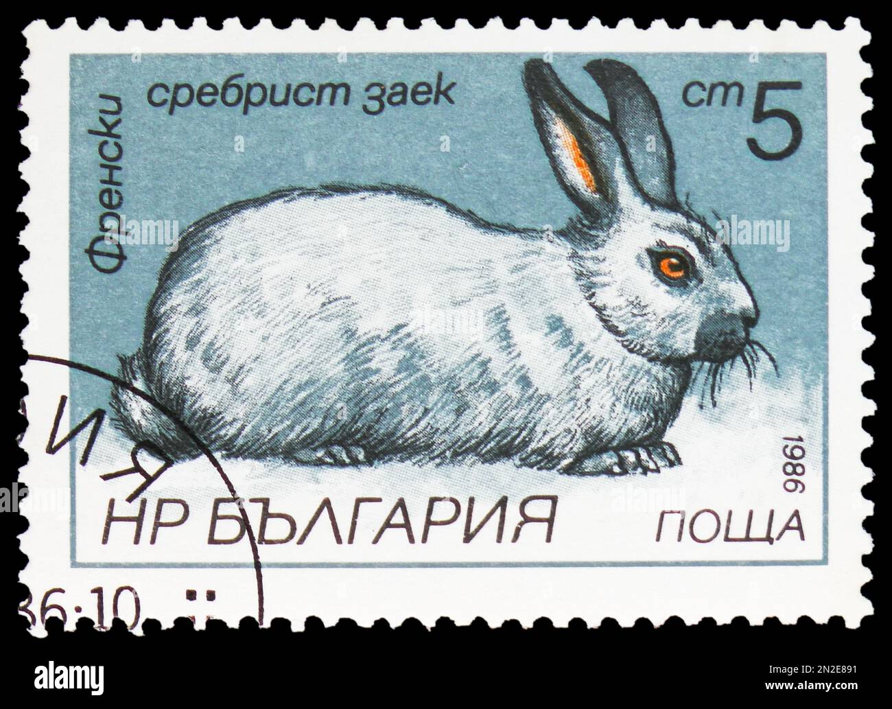 MOSKAU, RUSSLAND - 4. FEBRUAR 2023: Auf dem in Bulgarien gedruckten Poststempel sind französische Silberkaninchen (Oryctolagus cuniculus forma domestica), Hasen und Rab zu sehen Stockfoto