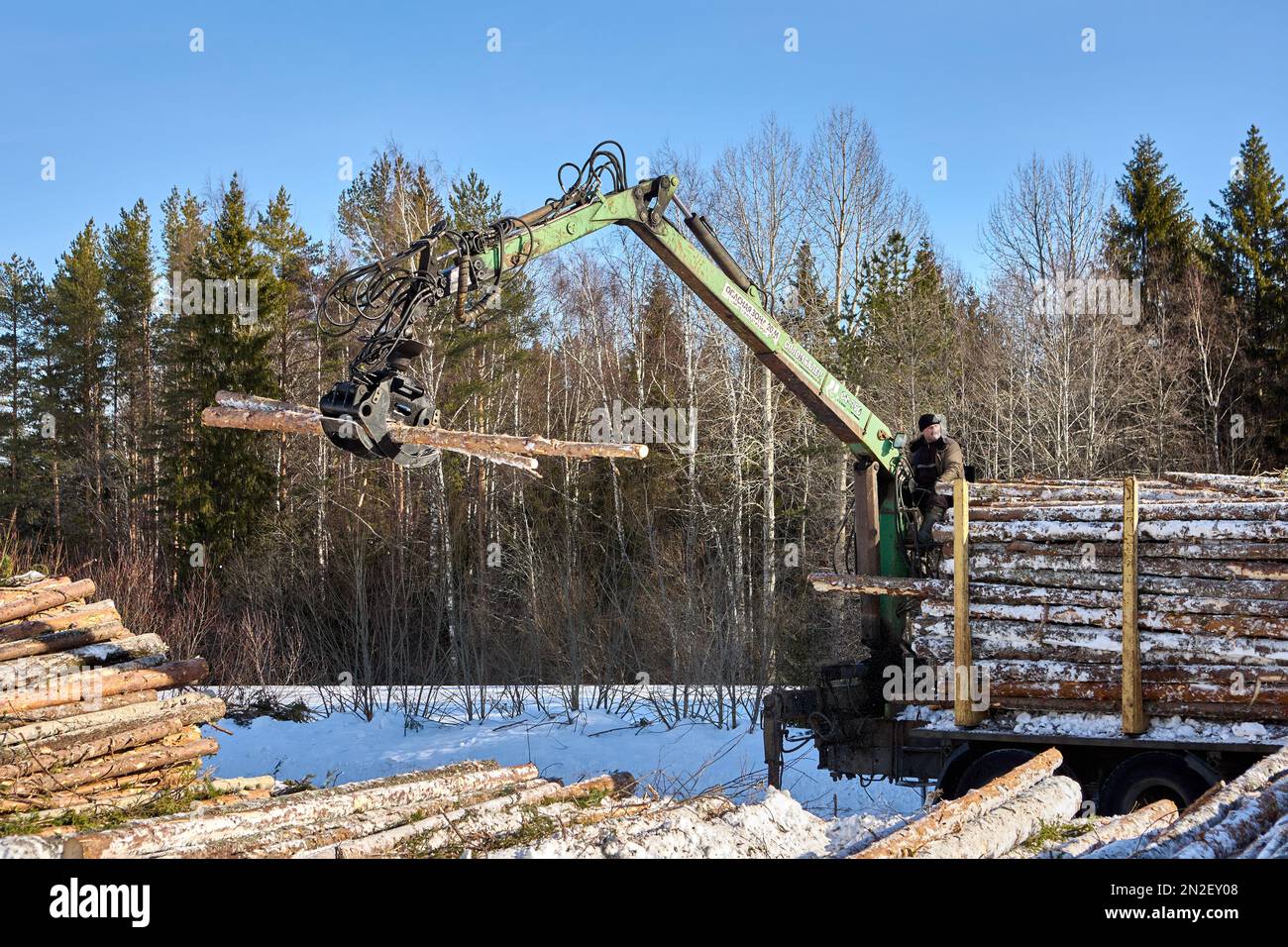Selbstladender Holzstapler mit hydraulischem Greifer an der Rückseite führt vom Holzeinschlagsunternehmen auf die Transportplattform. Stockfoto