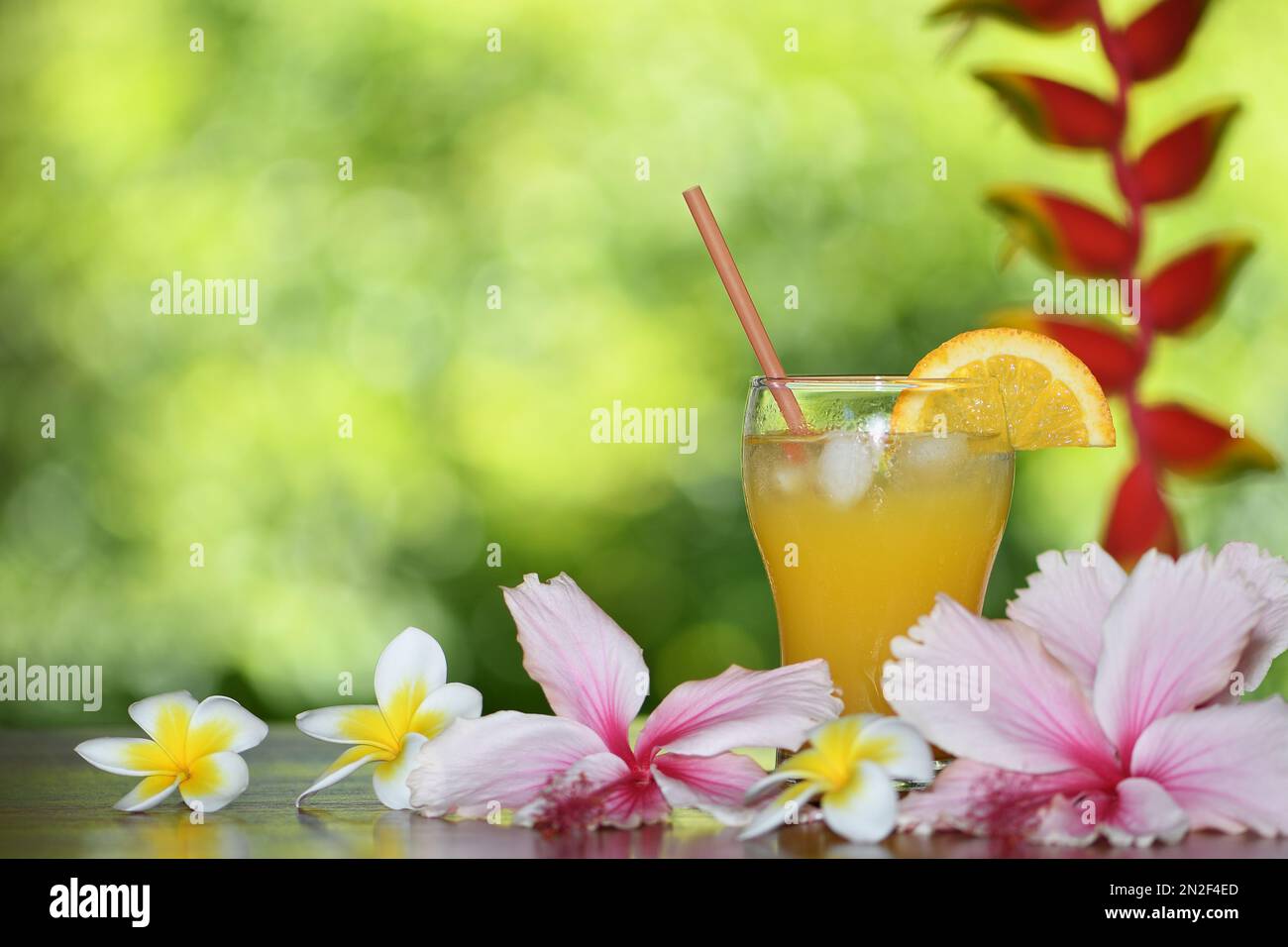 Ein Glas kalter Orangensaft mit einem Strohhalm und einer Scheibe Orange, rechts vom Rahmen, in tropischer Umgebung mit Heliconia, Hibiskus und Frangipani-Blumen Stockfoto