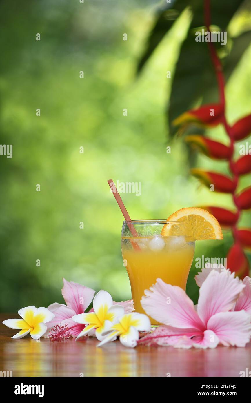 Ein Glas kalter Orangensaft mit einem Strohhalm und einer Scheibe Orange, rechts vom Rahmen, in tropischer Umgebung mit Heliconia, Hibiskus und Frangipani-Blumen Stockfoto