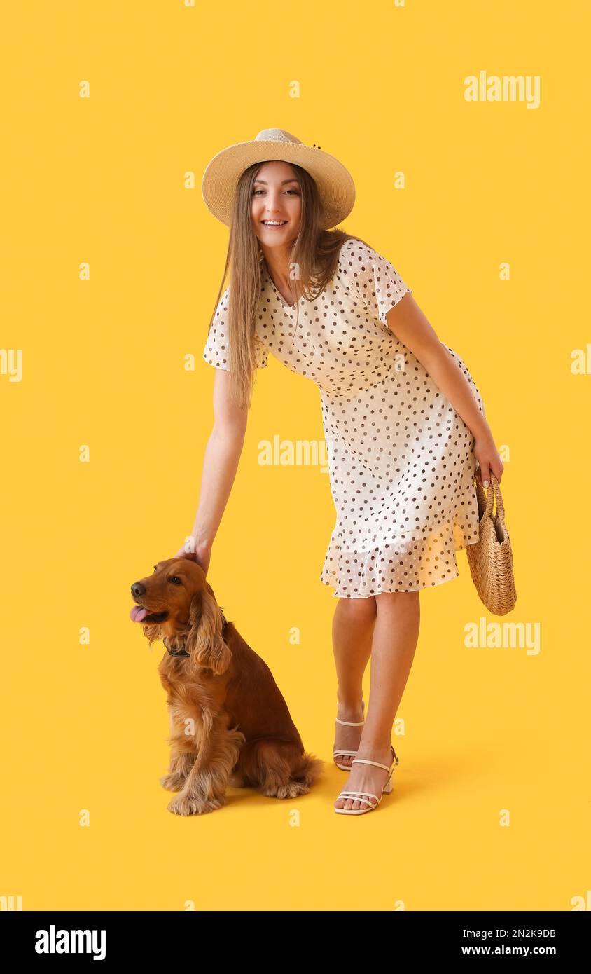 Junge Frau mit rotem Cockerspaniel auf gelbem Hintergrund Stockfoto
