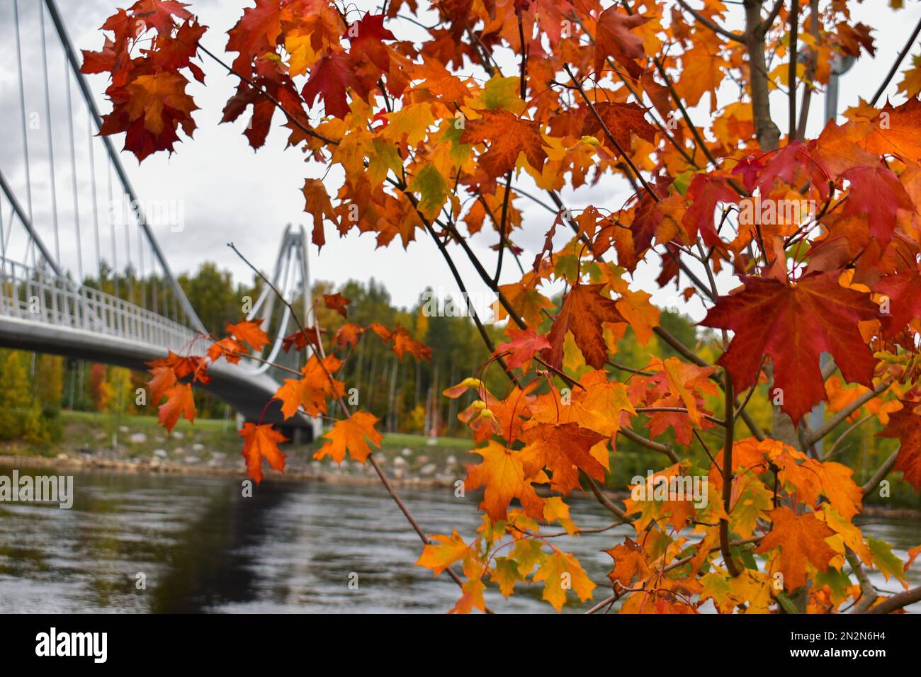 Umea River und Lundabron im Herbst Stockfoto
