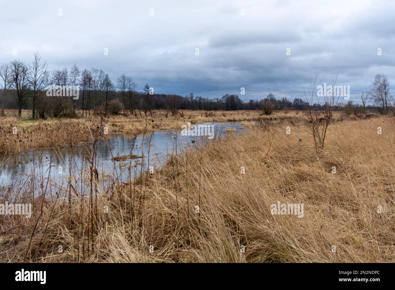 Ein kleiner, wilder Fluss Grabia in Mittelpolen. Stockfoto