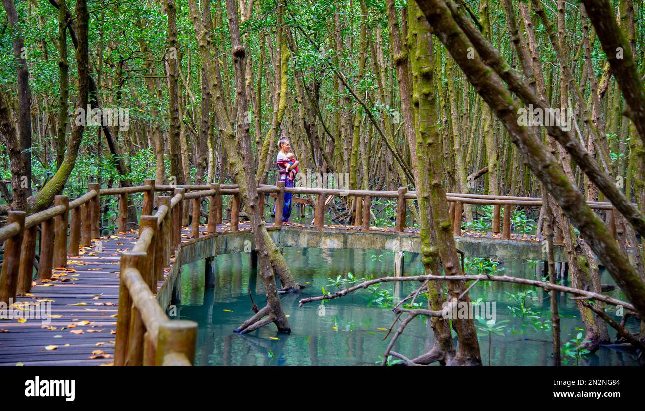 Touristen mit dazugehörigen Kindern gehen auf einer hölzernen Brücke durch Mangrovenwälder mit azurblauem Wasser im Chumphon National Park und schützen sich vor der Sonne Stockfoto