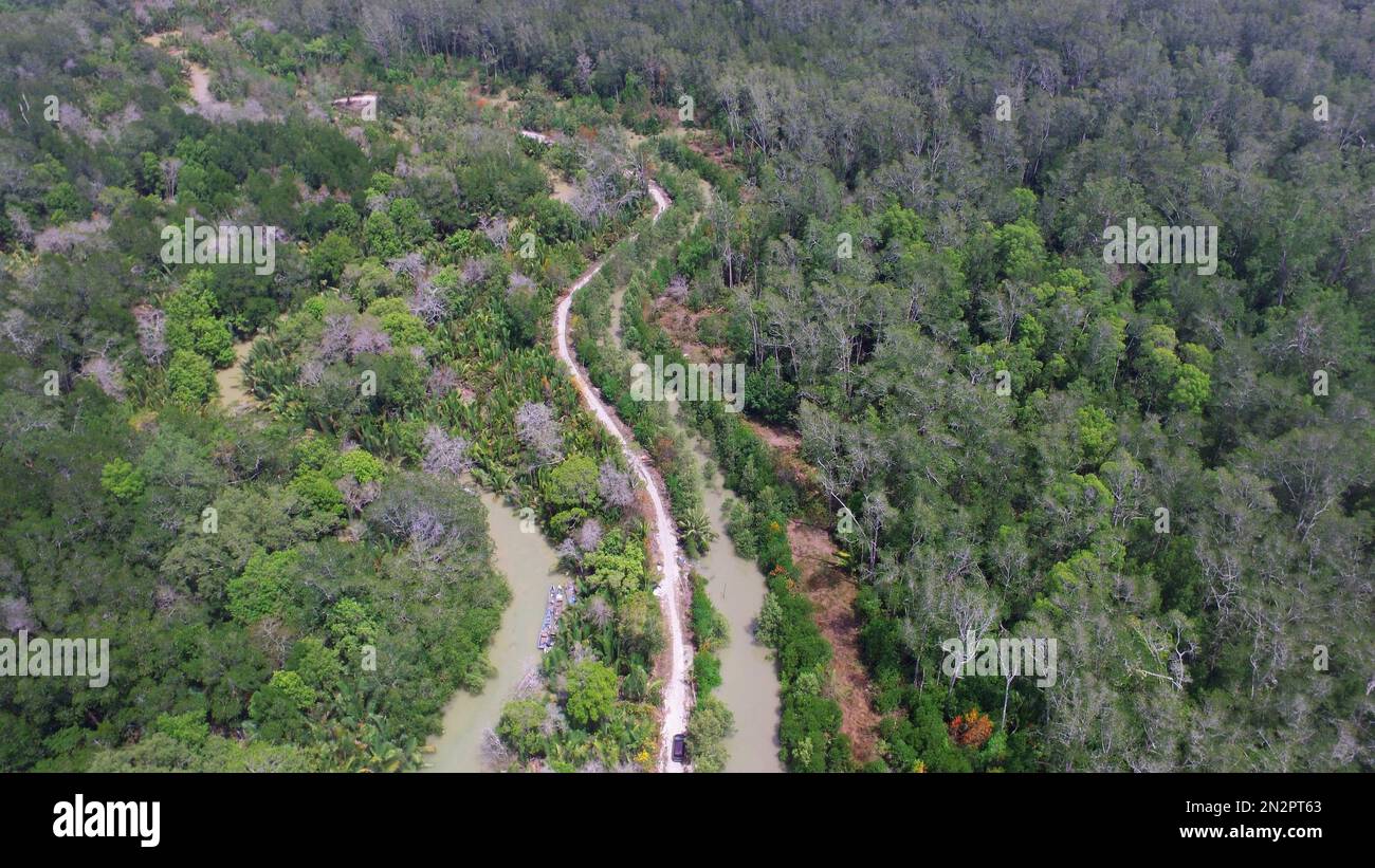 Ein Luftblick von der Drohne zeigt Einen Blick auf den dichten Mangrovenwald Stockfoto