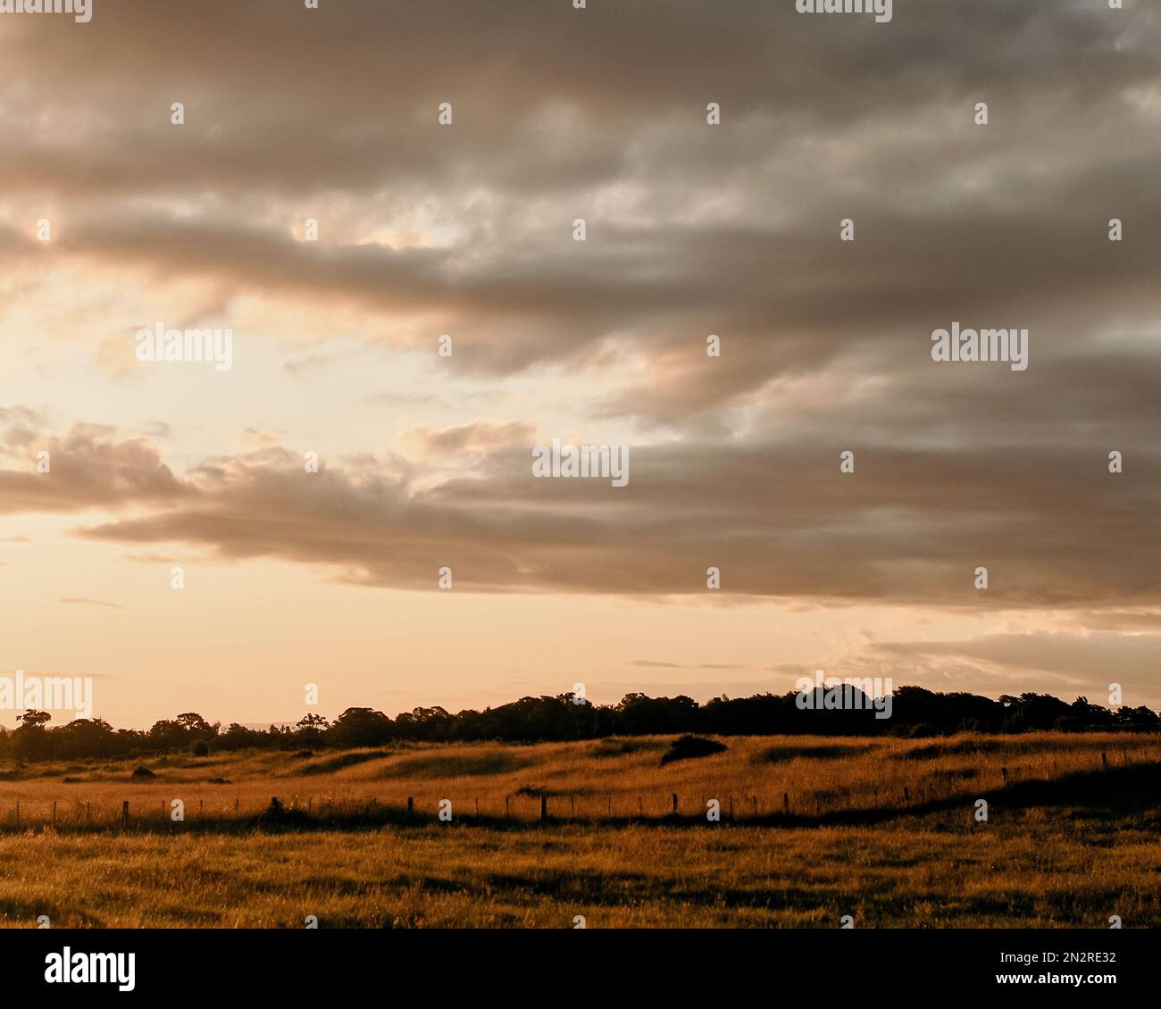 Ländliche Ackerlandschaft bei der Golden Hour, Central North Island, Neuseeland Stockfoto