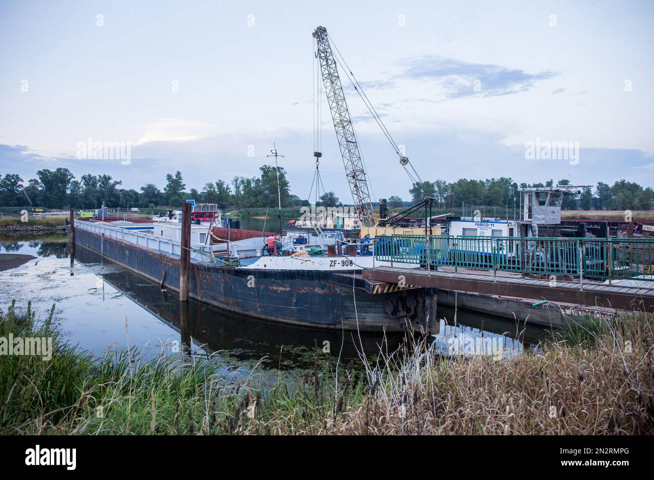 Brody, Woiwodschaft Lubusz, Polen. 15. Aug. 2022. Baumaschinen, die Regelarbeiten am Fluss Odra durchführen, um ihn an die Wasserstraße der Klasse III im Dorf Brody anzupassen. Die Odra ist eine wichtige Kommunikationsroute, sie ist Teil der Wasserstraße E30, die die Ostsee mit der Donau in Bratislava verbindet. Die Wasserstraße E30 in Polen erstreckt sich über die Odra von der Grenze zur Tschechischen Republik bis nach Swinoujscie, wo sich das LNG-Terminal Swinoujscie befindet.WWF Deutschland und Experten des Leibniz-Instituts für Süßwasserökologie und Binnenfischerei der IGB fordern die Einstellung Stockfoto