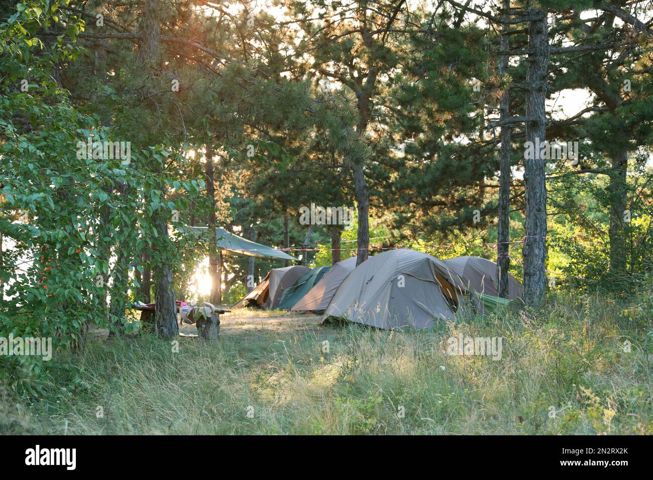 Touristisches Camp mit Zelten im Sommerwald Stockfoto