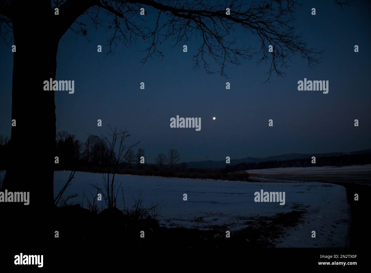 Vollmond scheint an einem kalten Wintermorgen, Waldviertel/Österreich Stockfoto