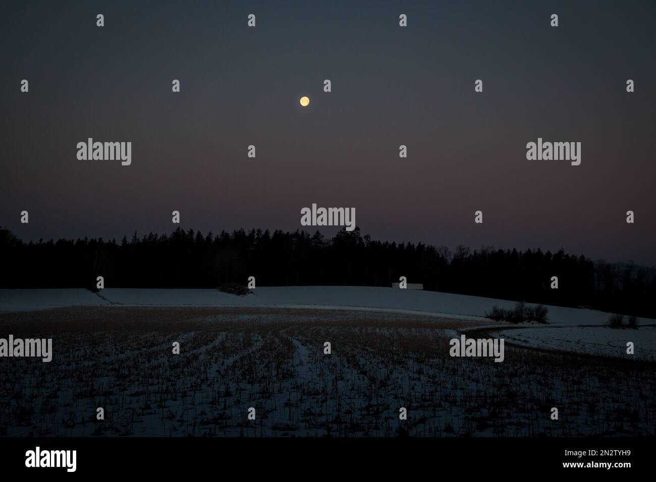 Vollmond scheint an einem kalten Wintermorgen, Waldviertel/Österreich Stockfoto