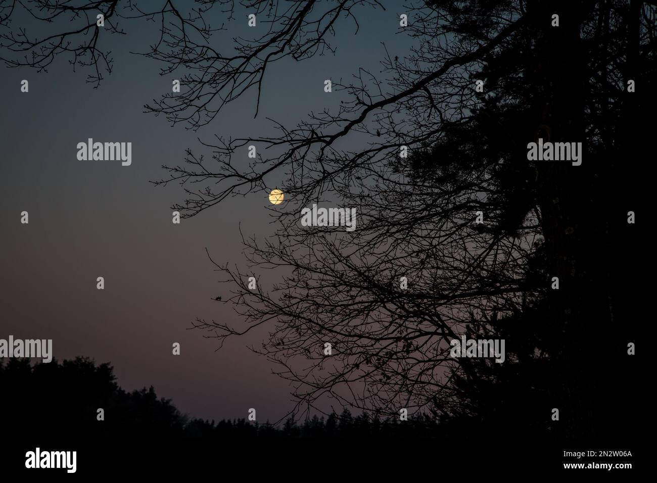 Vollmond scheint an einem kalten Wintermorgen, Waldviertel/Österreich Stockfoto