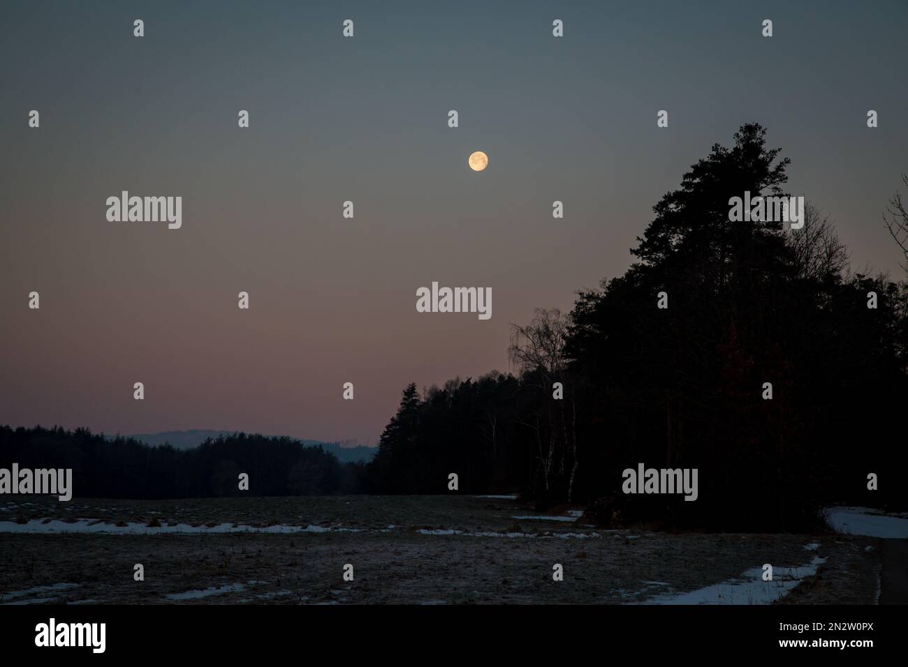 Vollmond scheint an einem kalten Wintermorgen, Waldviertel/Österreich Stockfoto