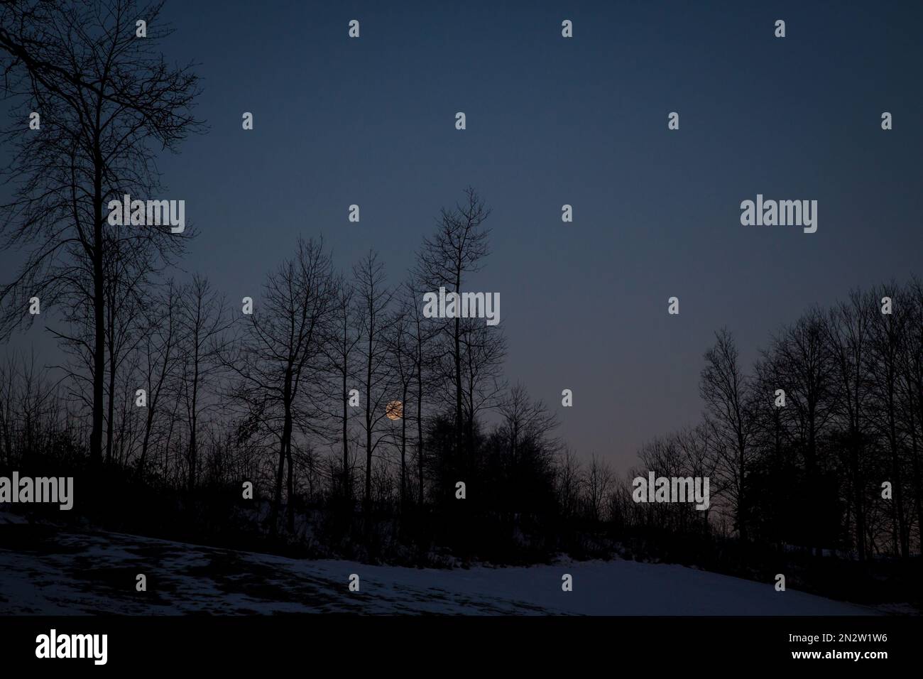 Vollmond scheint an einem kalten Wintermorgen, Waldviertel/Österreich Stockfoto